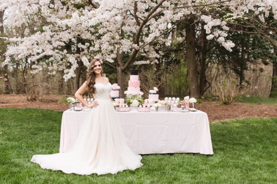pink-and-platinum-elegant-wedding-ideas