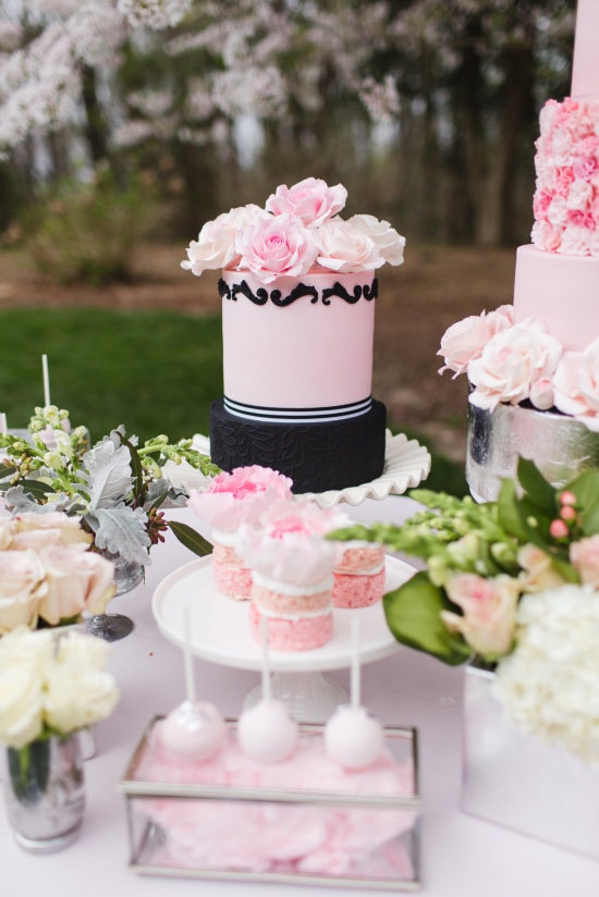 pink-and-platinum-elegant-wedding-ideas