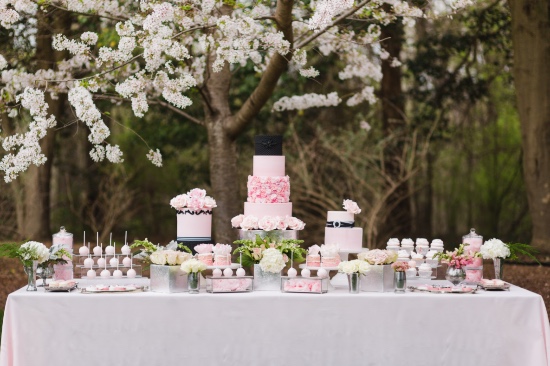 pink-and-platinum-elegant-wedding-ideas