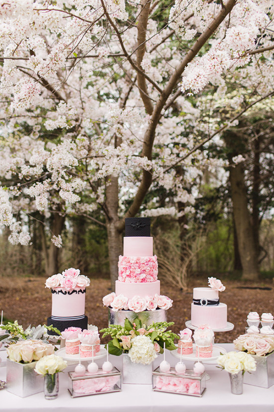 Pink and Platinum Elegant Wedding Ideas