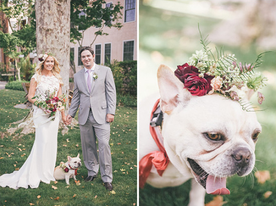 Wedding pup with floral collar