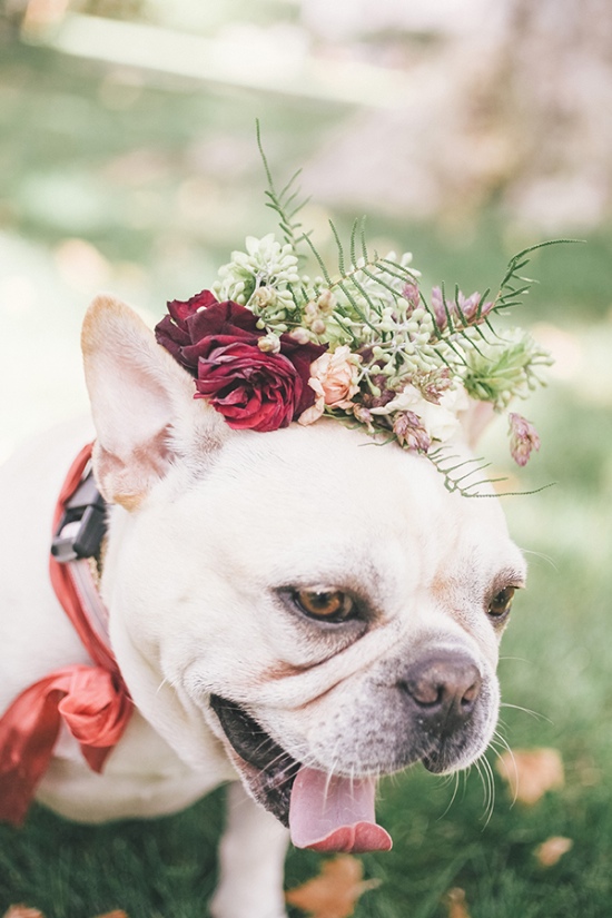 romantic-copper-and-blush-sonoma-wedding