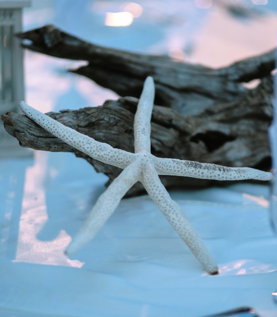 royal-blue-beach-wedding