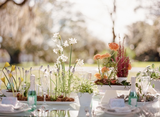 spring-time-bridal-shower