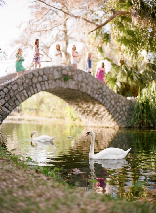 spring-time-bridal-shower