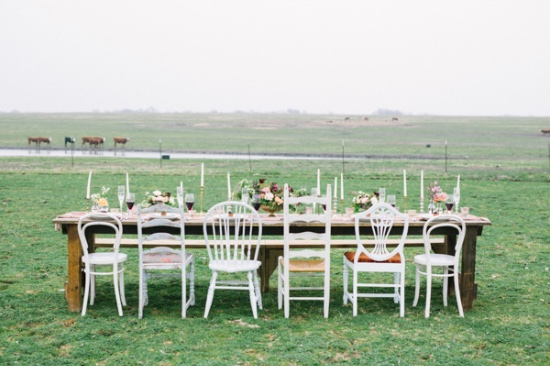 summerfield-at-tate-farms