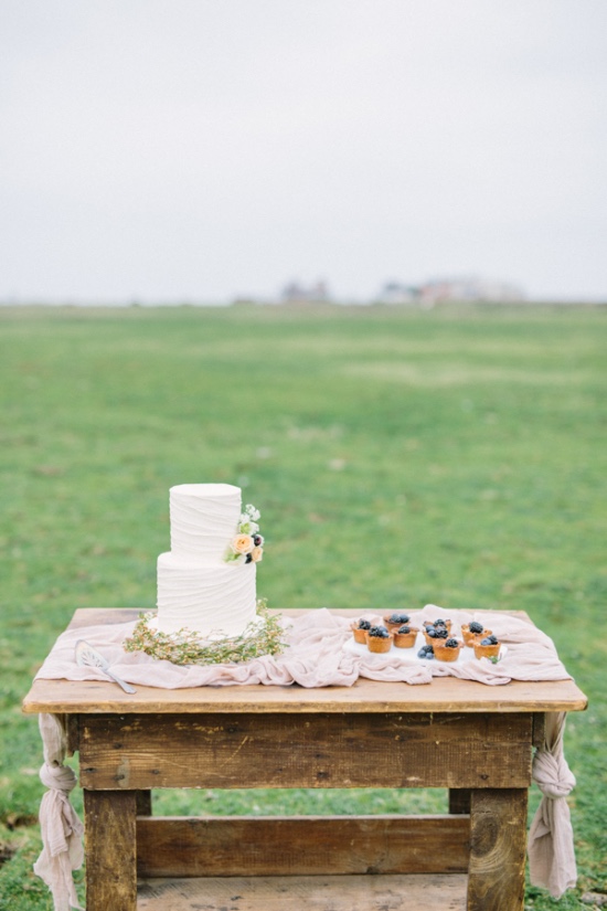 summerfield-at-tate-farms