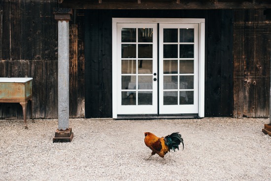 vintage-chic-wedding-at-dana-powers