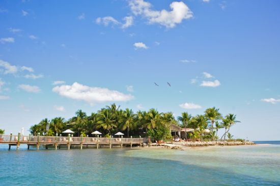 Tropical island resort with palm trees and blue sea