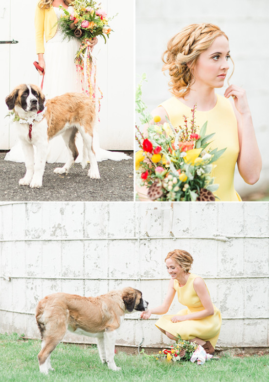 Bride with Saint Bernard dog at outdoor wedding shoot