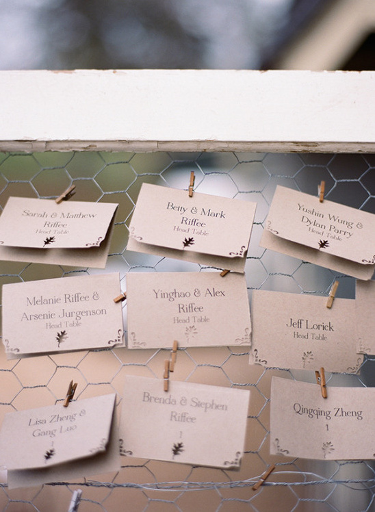 Rustic wedding guest seating chart on chicken wire frame