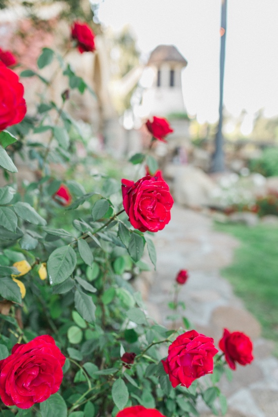 summer-chic-wedding-in-california