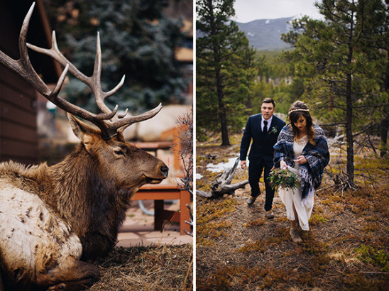 elk and hiking to the ceremony spot