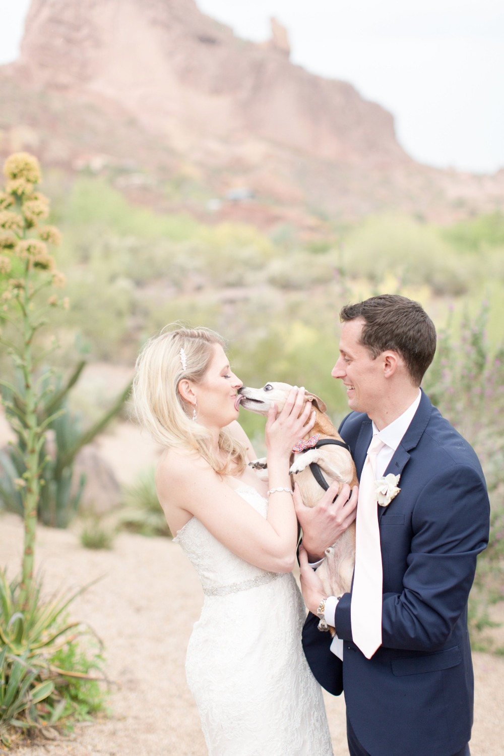 wedding-submission-from-amy-jordan