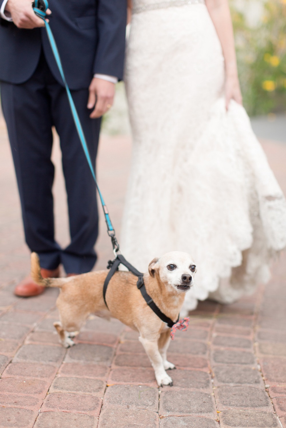 wedding-submission-from-amy-jordan