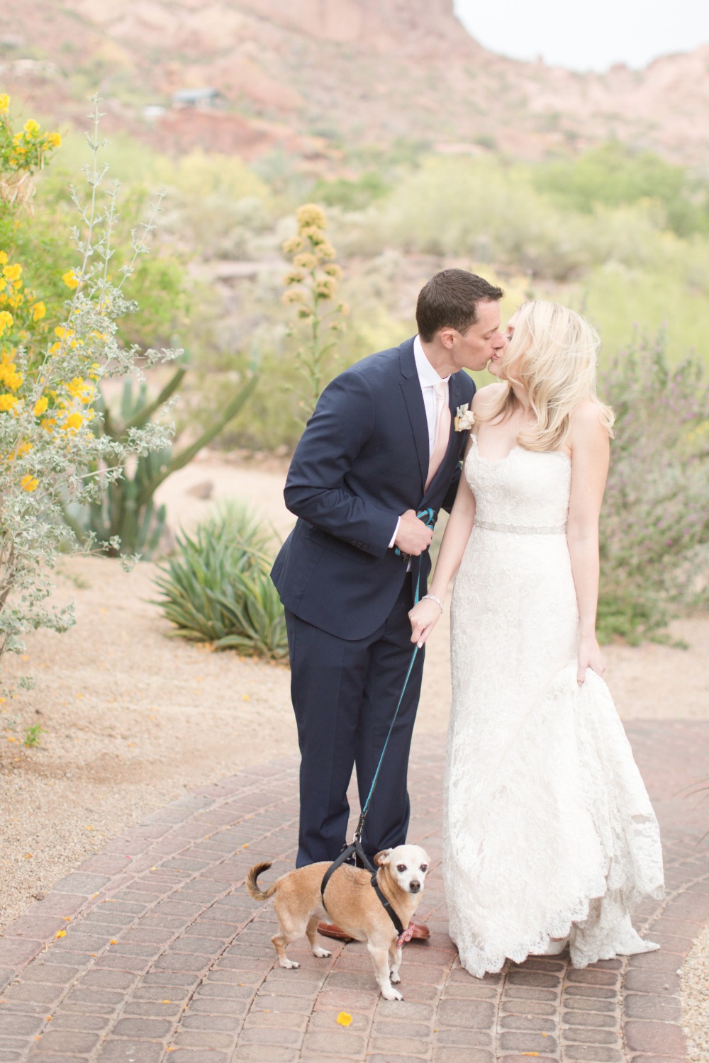 wedding-submission-from-amy-jordan