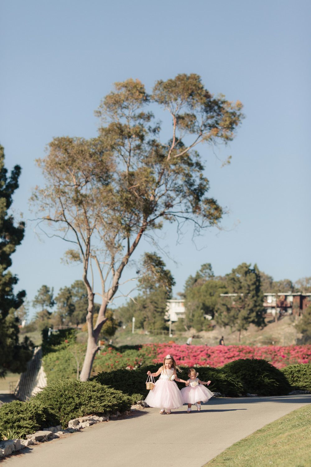 wedding-submission-from-casey-and
