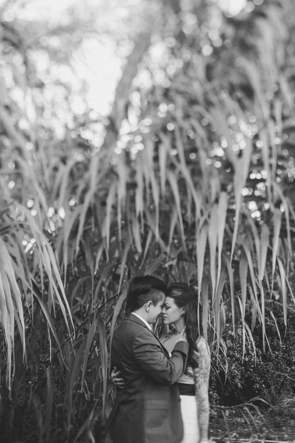 wedding-submission-from-connection