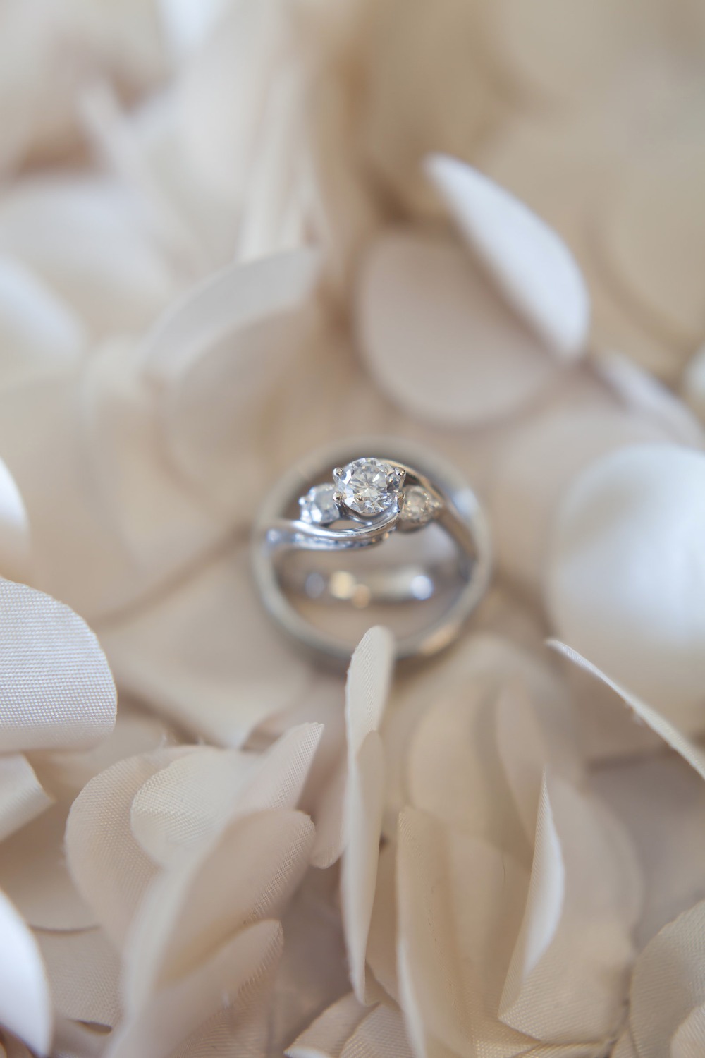 wedding-submission-from-janelle-marina