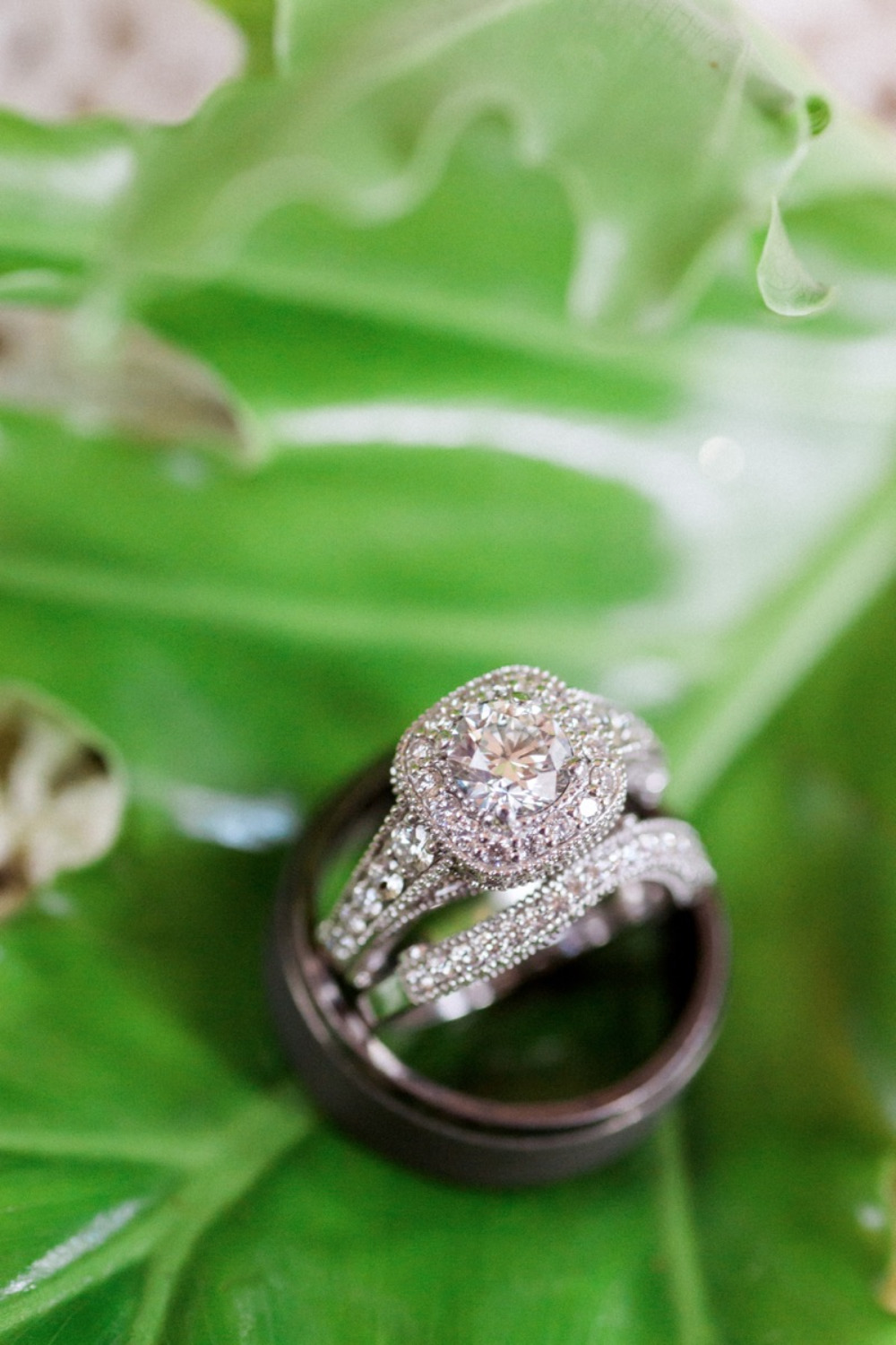 wedding-submission-from-jodi-spatharos
