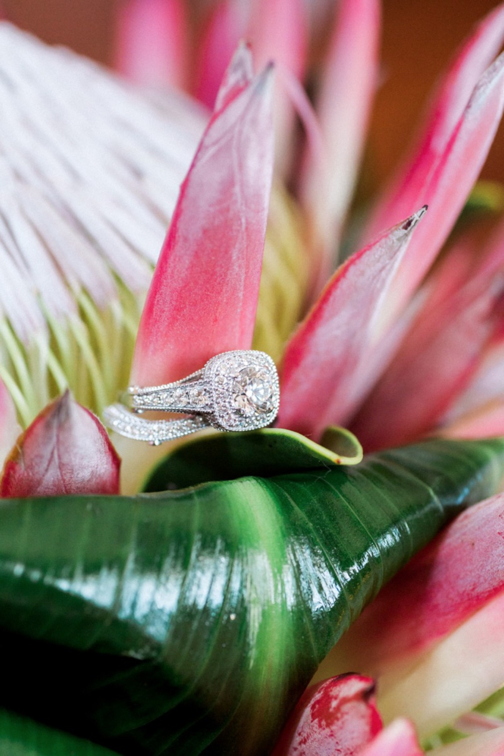 wedding-submission-from-jodi-spatharos