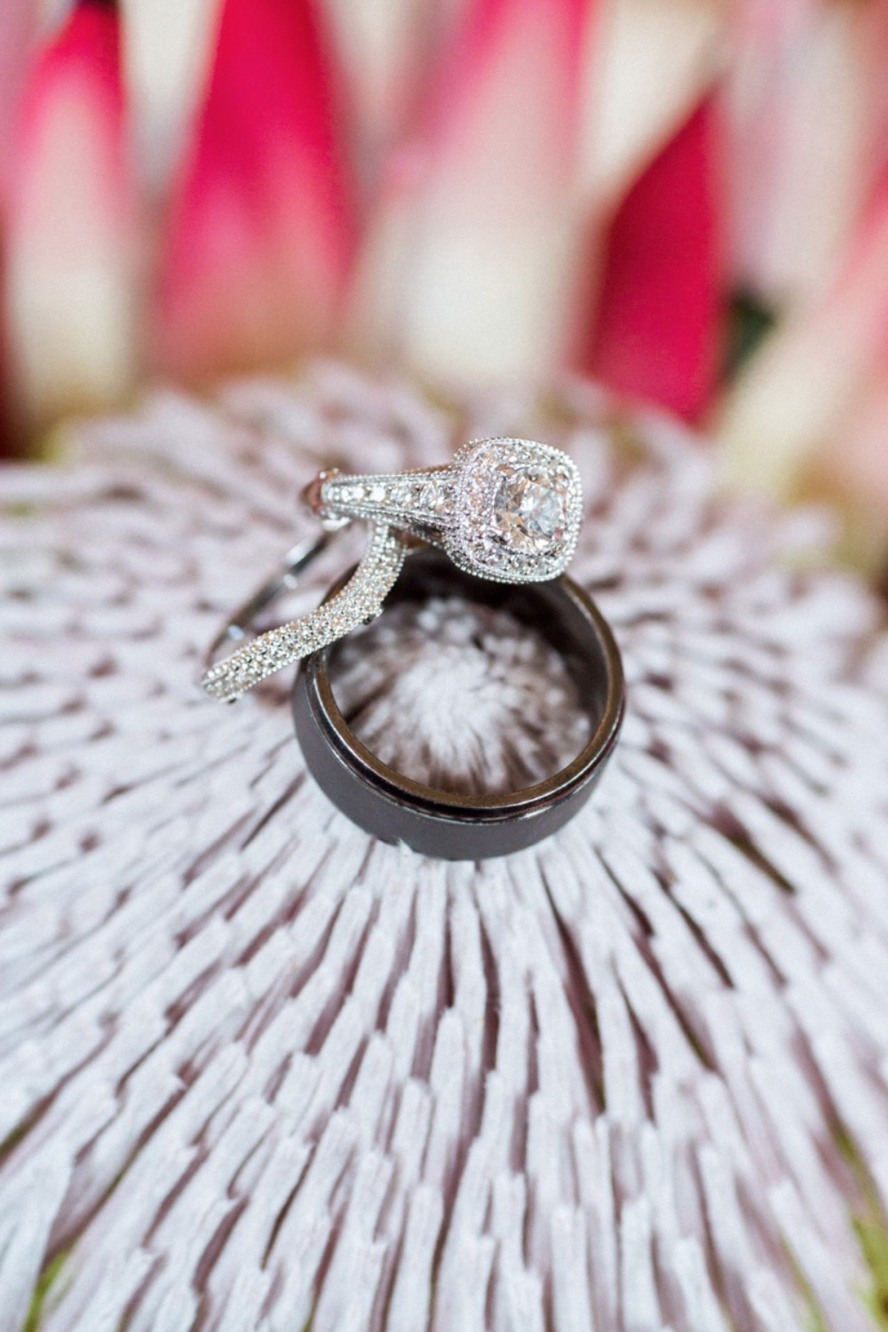 wedding-submission-from-jodi-spatharos