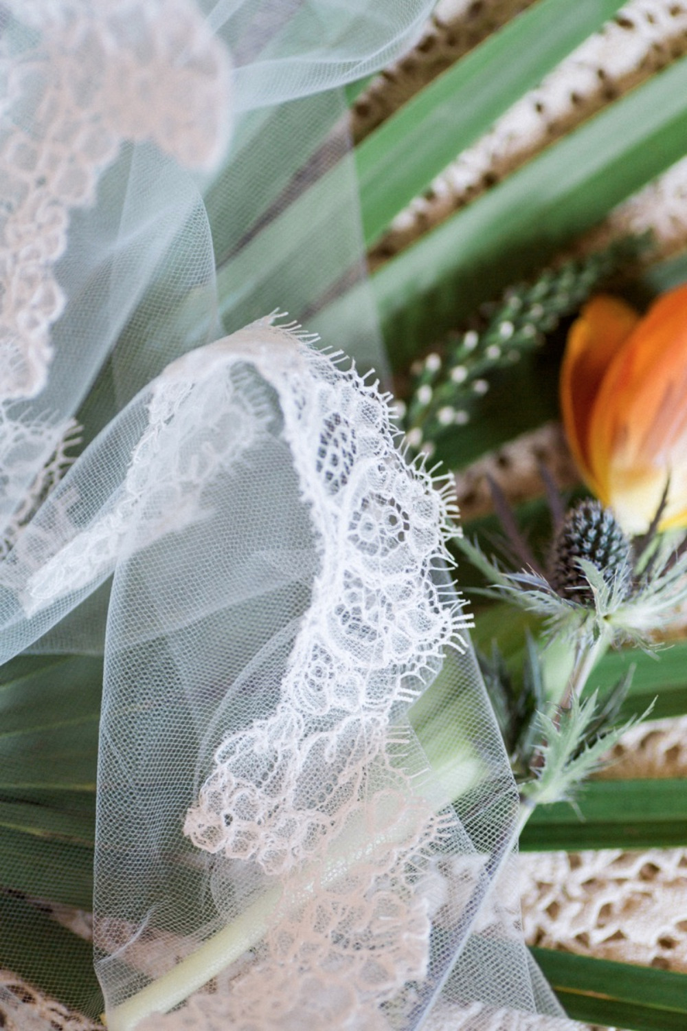 wedding-submission-from-jodi-spatharos