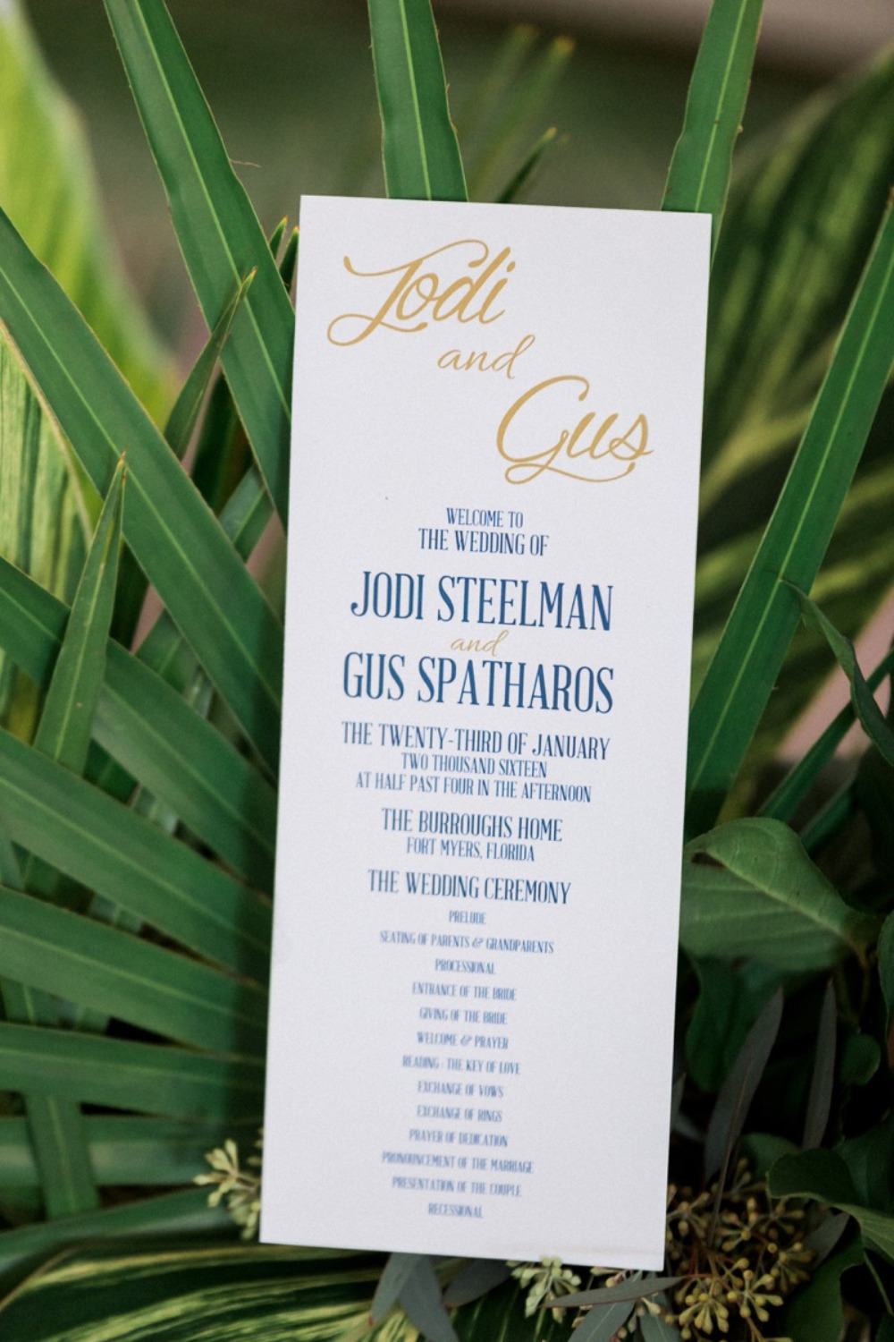 wedding-submission-from-jodi-spatharos