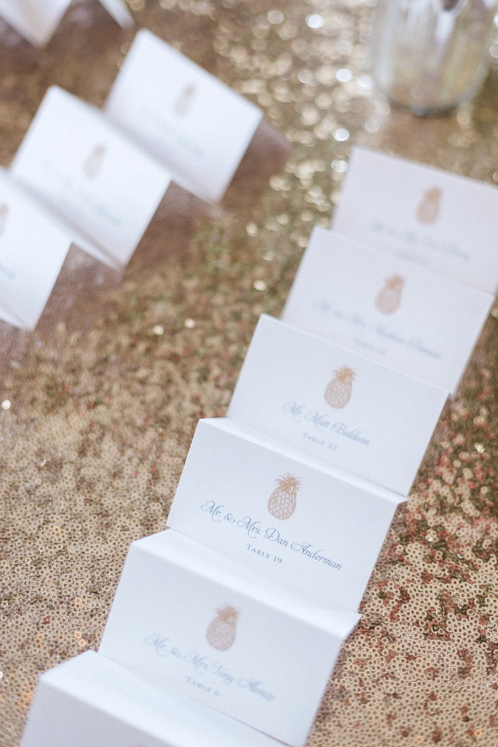 wedding-submission-from-jodi-spatharos