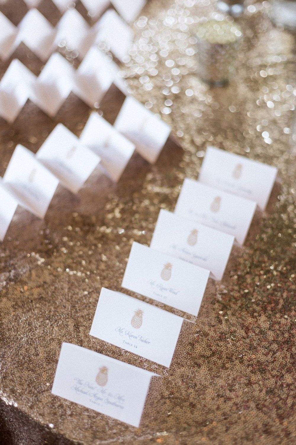 wedding-submission-from-jodi-spatharos