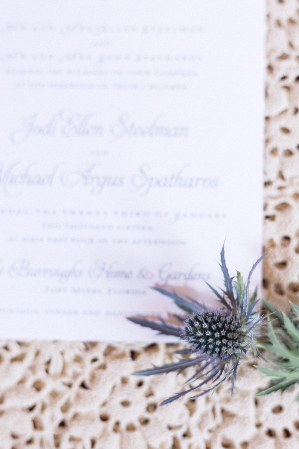 wedding-submission-from-jodi-spatharos