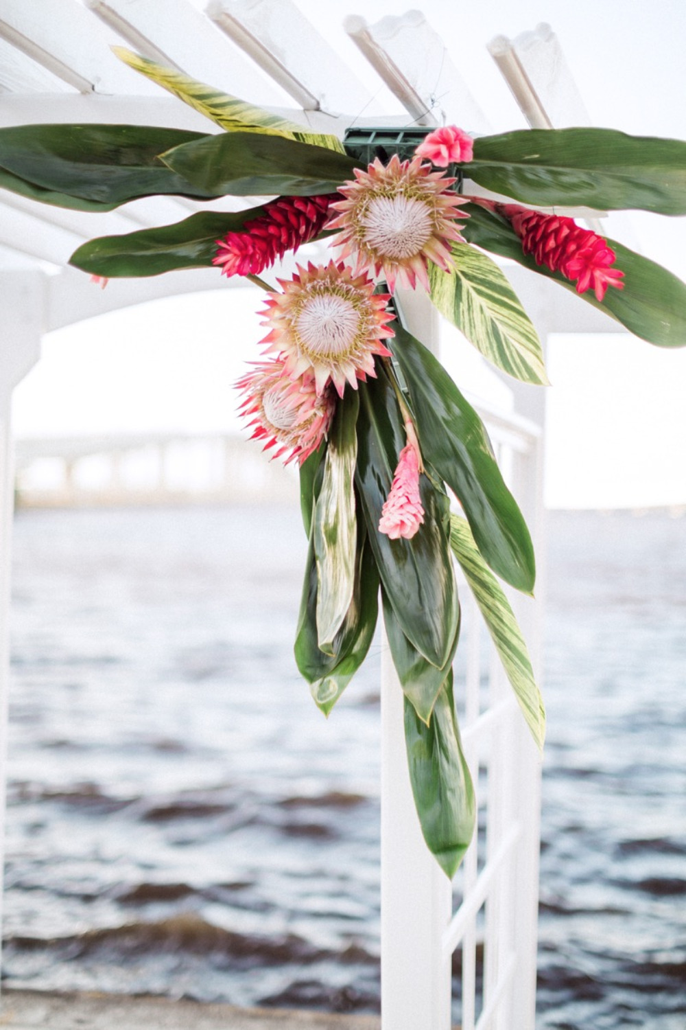 wedding-submission-from-jodi-spatharos