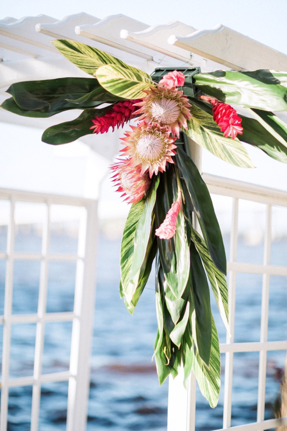 wedding-submission-from-jodi-spatharos
