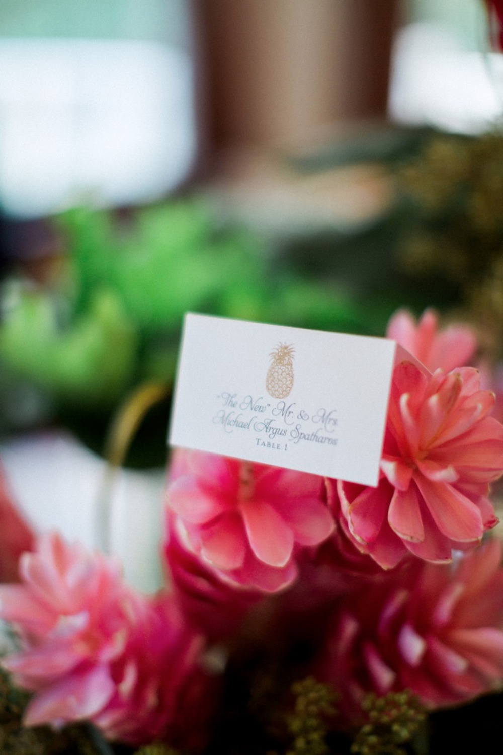 wedding-submission-from-jodi-spatharos