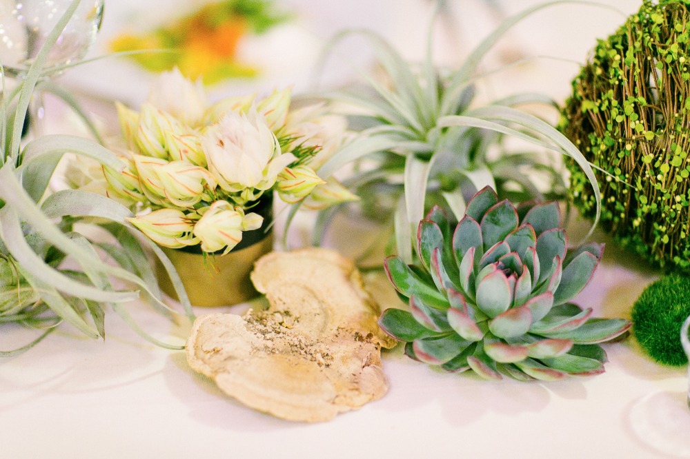 wedding-submission-from-larissa