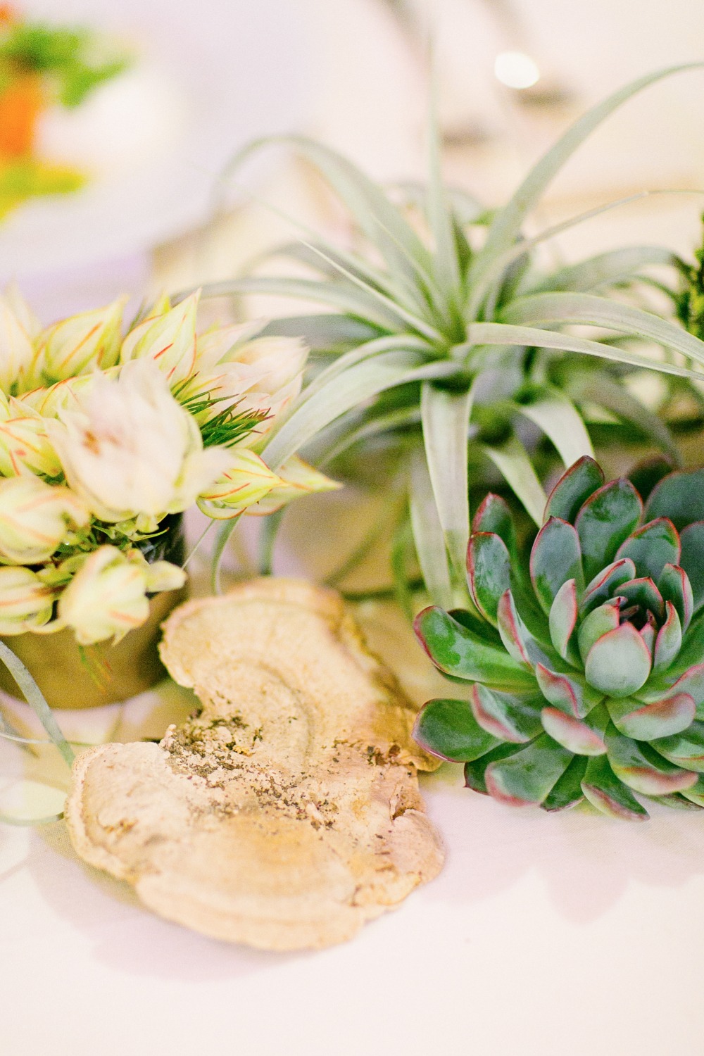 wedding-submission-from-larissa