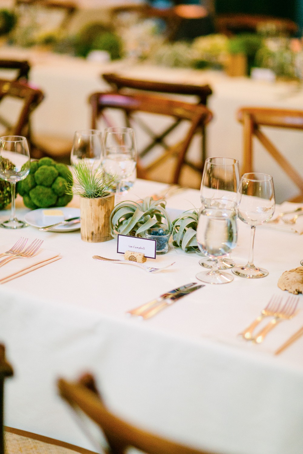 wedding-submission-from-larissa