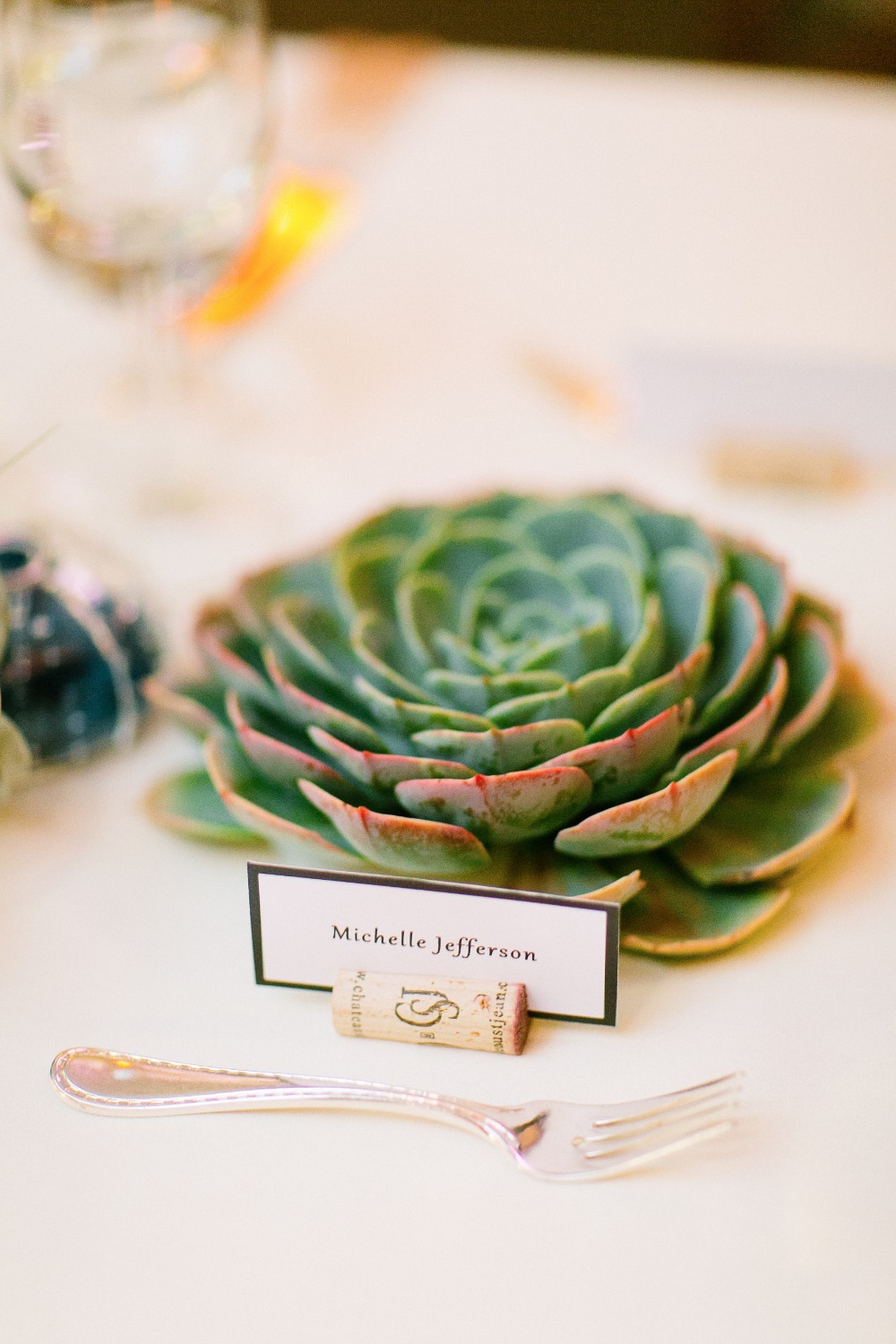 wedding-submission-from-larissa