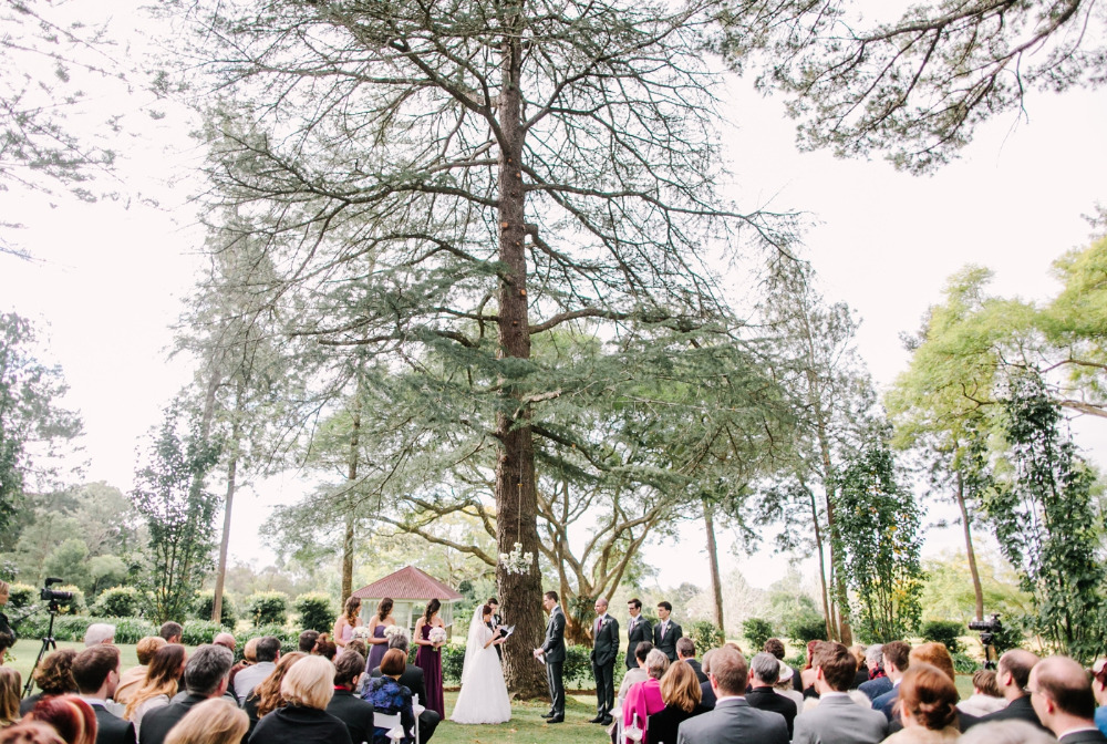 wedding-submission-from-lover-of