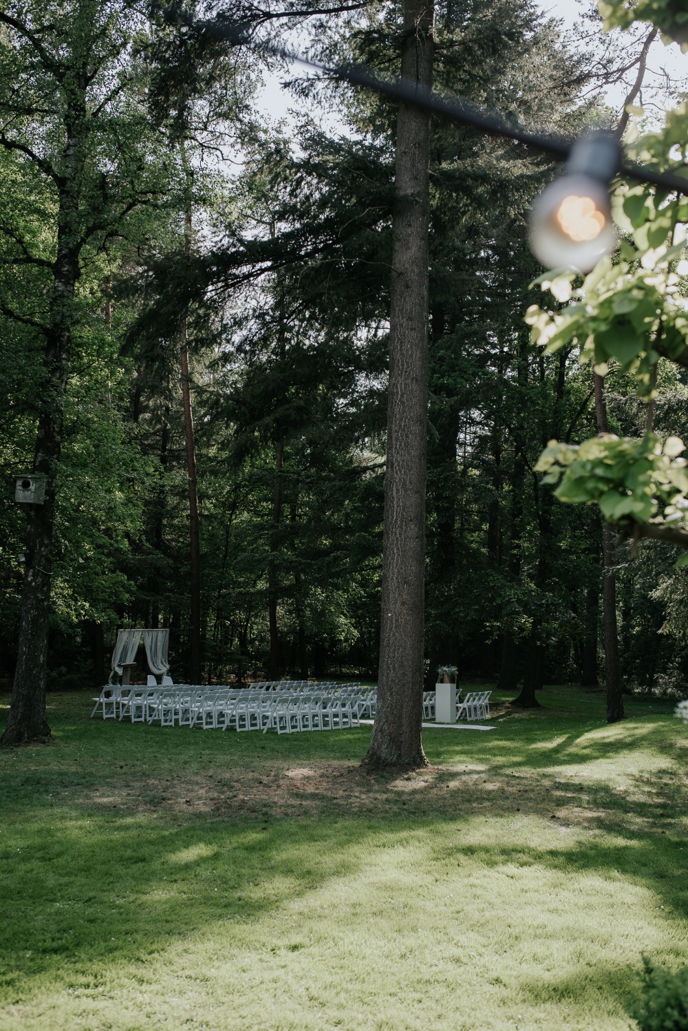 wedding-submission-from-marilyn