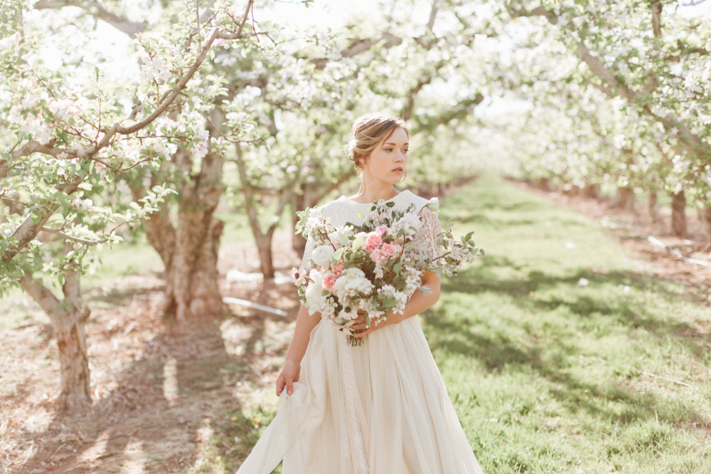 wedding-submission-from-samantha