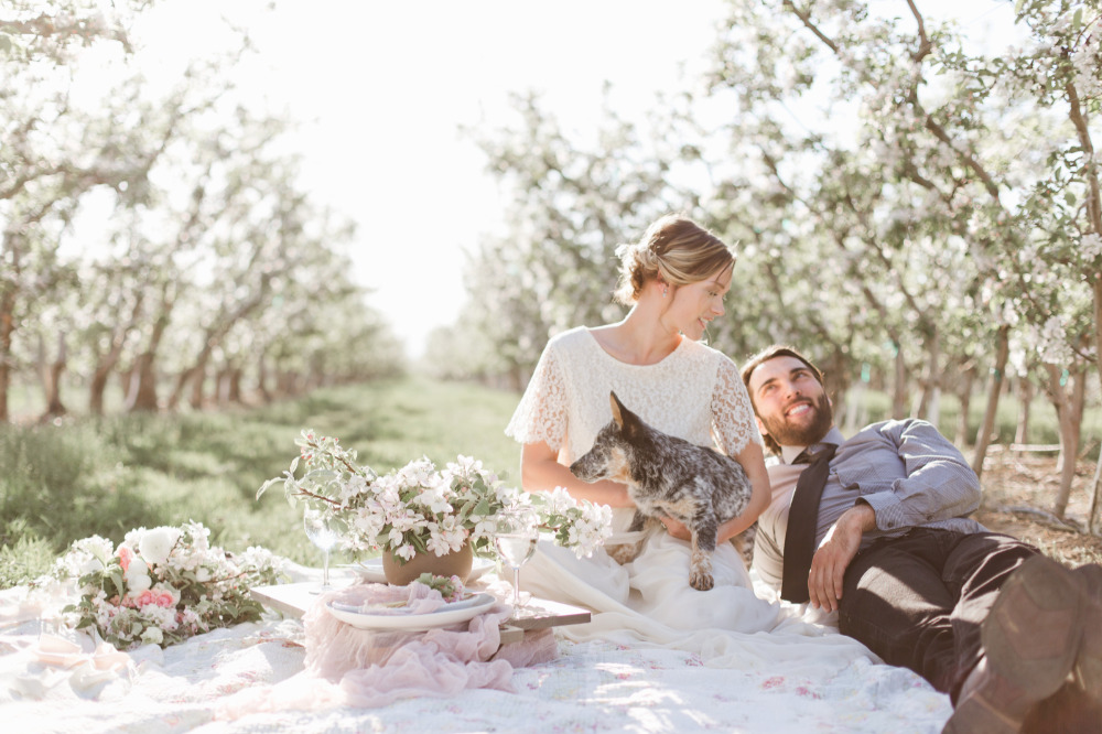 wedding-submission-from-samantha