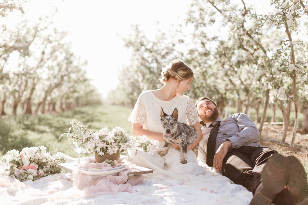 wedding-submission-from-samantha