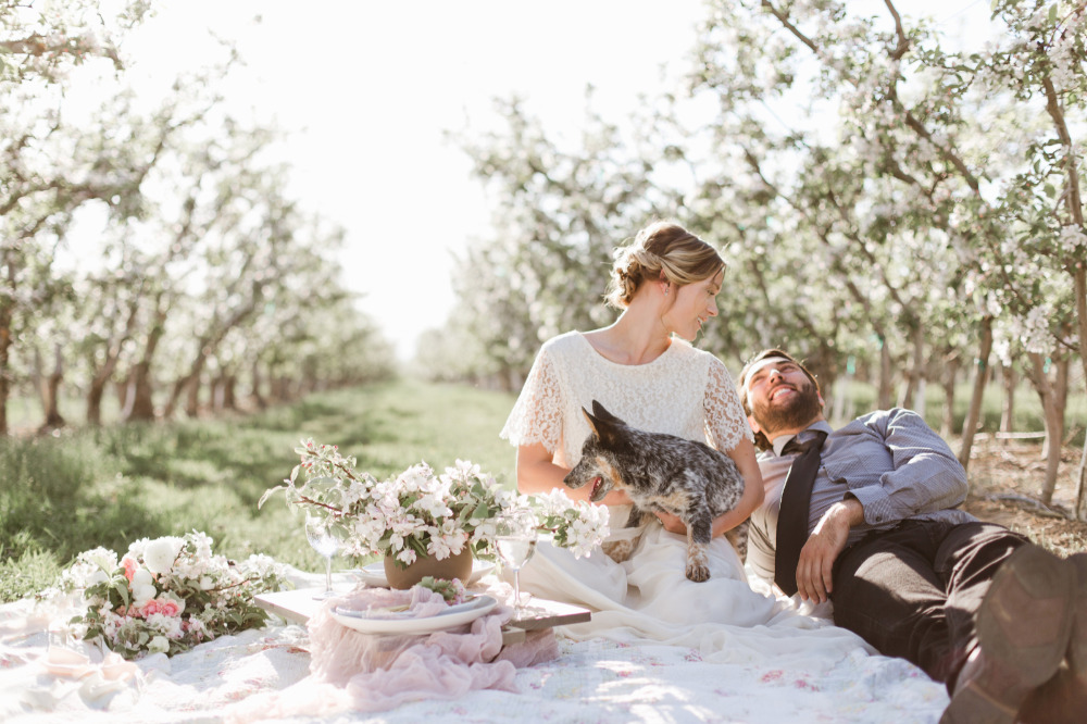 wedding-submission-from-samantha