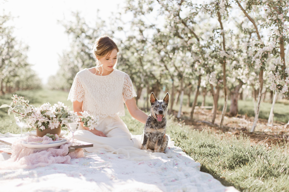 wedding-submission-from-samantha