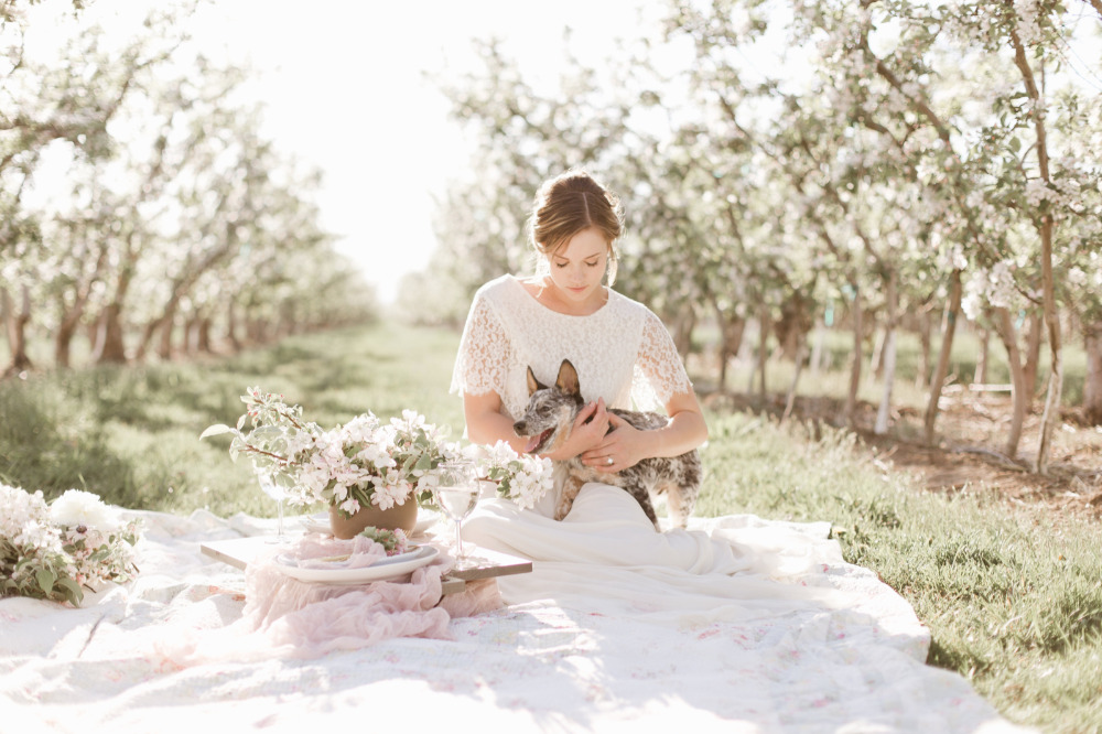 wedding-submission-from-samantha