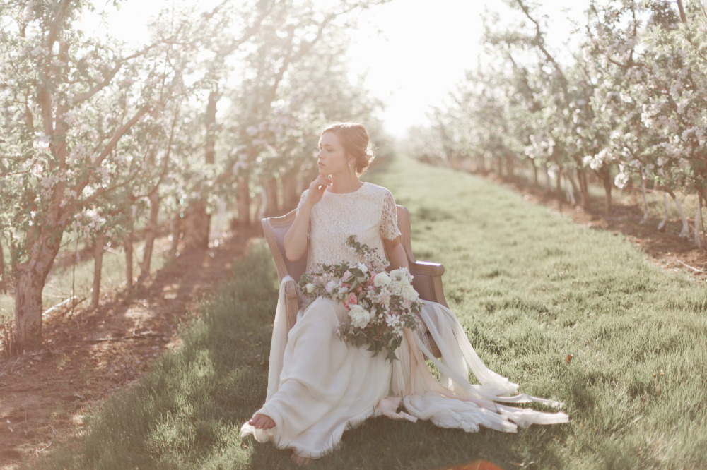wedding-submission-from-samantha