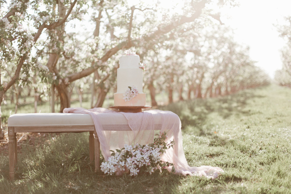 wedding-submission-from-samantha