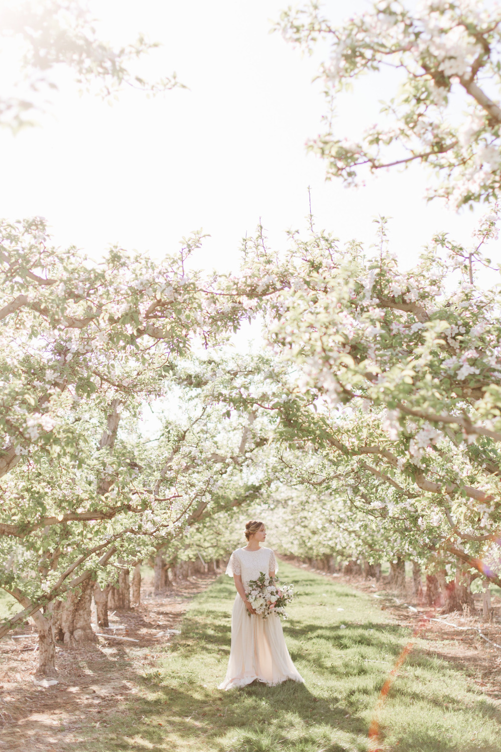 wedding-submission-from-samantha