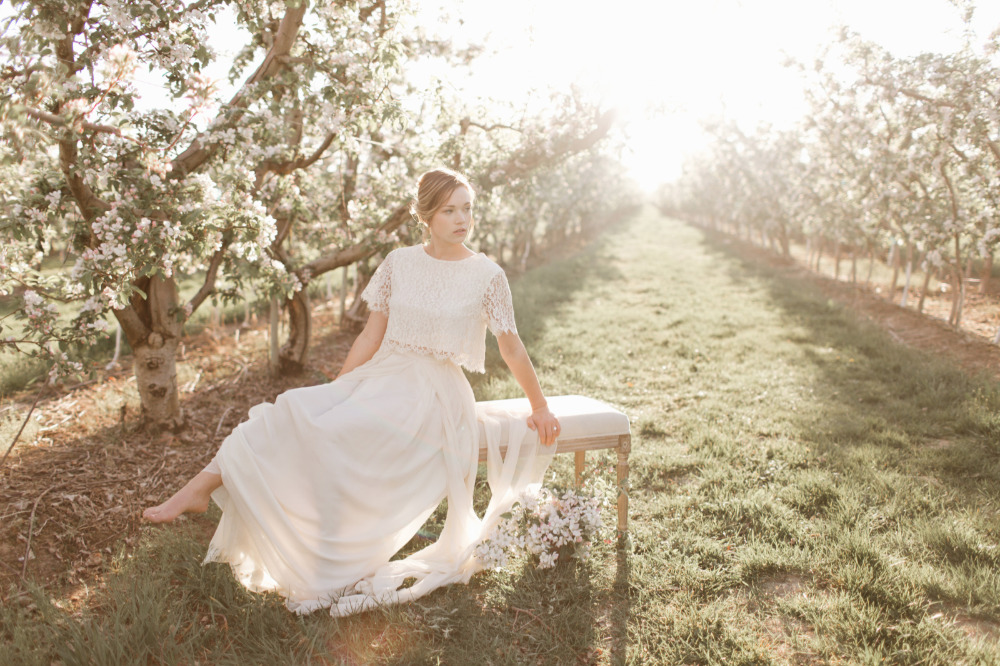 wedding-submission-from-samantha